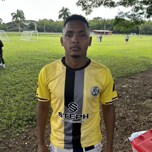 Yan carlos landazuri