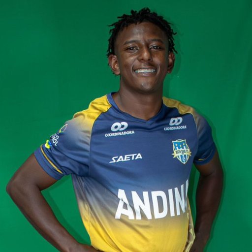 Diego Junior Castillo Sanchez
