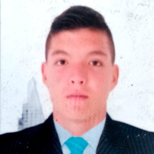 Cristhian Camilo Pino Pabon