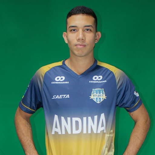 Felipe Manchola Llanten